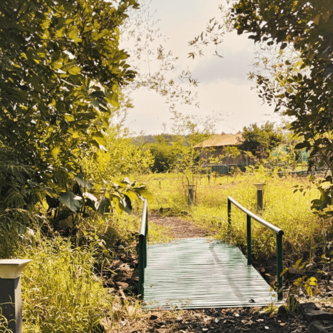 Luxury jungle resort at avani tiger resort