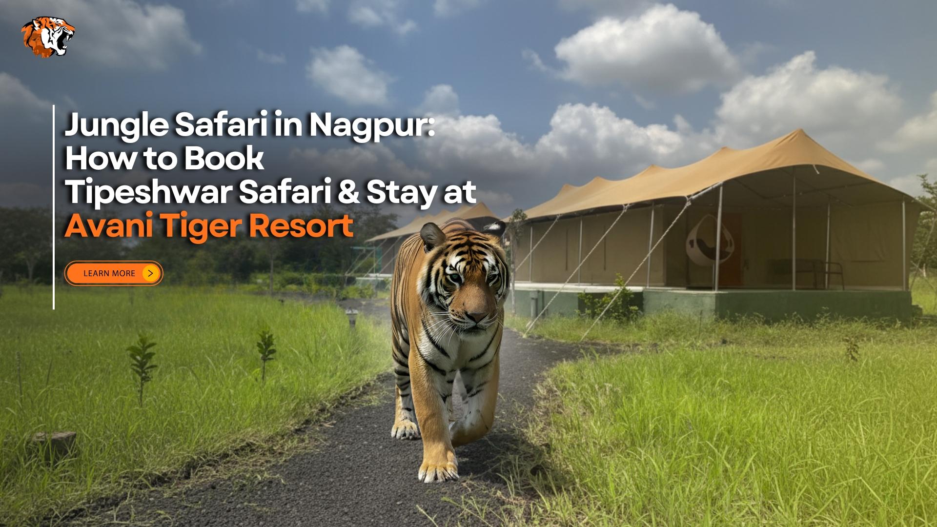 Jungle Safari in Nagpur