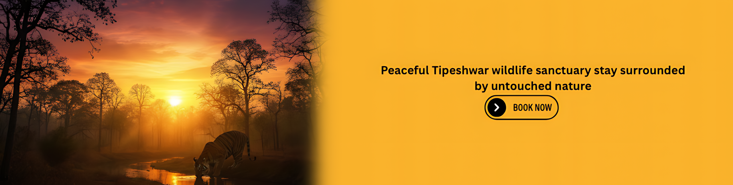 Peaceful Tipeshwar wildlife sanctuary stay surrounded by untouched nature