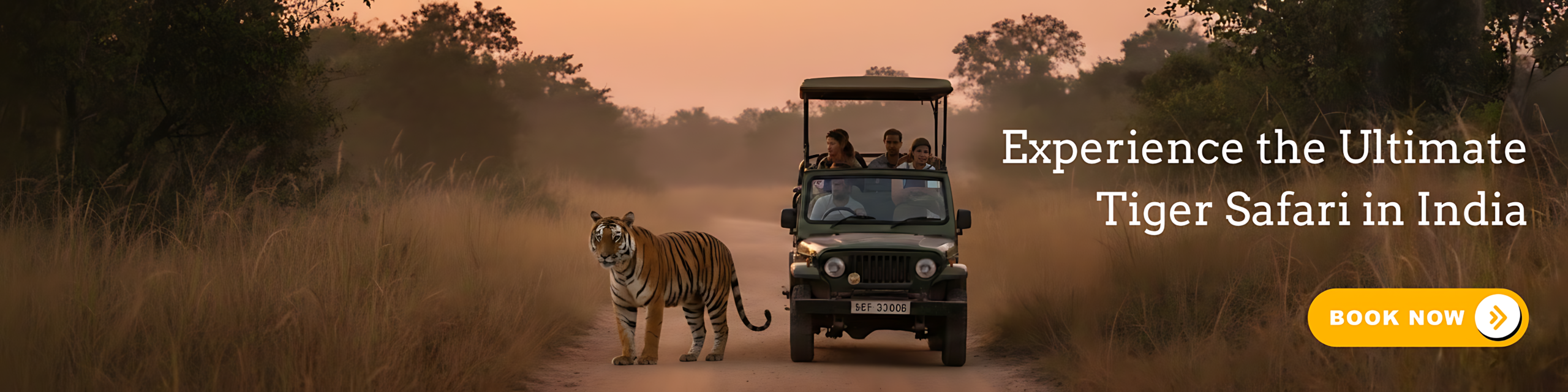 Royal Bengal tiger in natural forest habitat during a tiger safari in India at Tipeshwar Wildlife Sanctuary