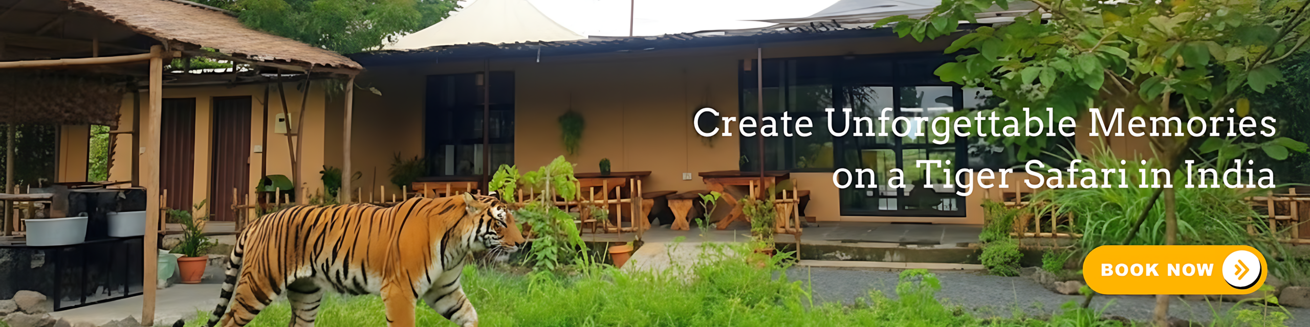 Family enjoying nature and wildlife during a tiger safari in India near Tipeshwar forest
