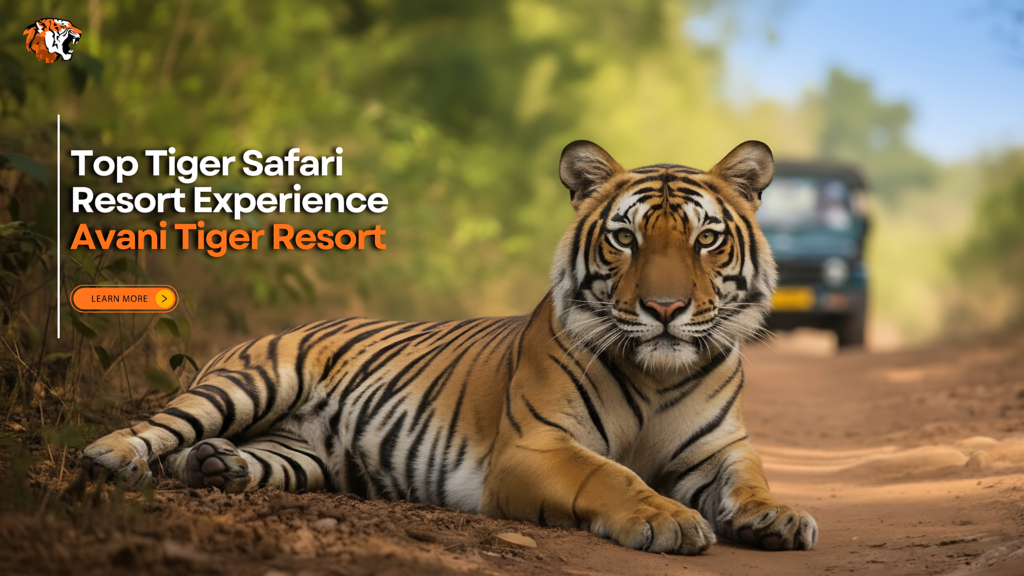 Tiger Safari Resort | Avani Tiger Resort
