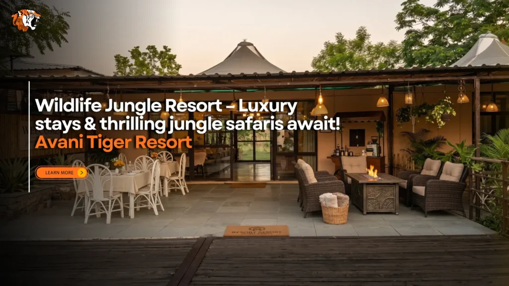 Wildlife Jungle Resort luxury stay with jungle safari and nature escape experience