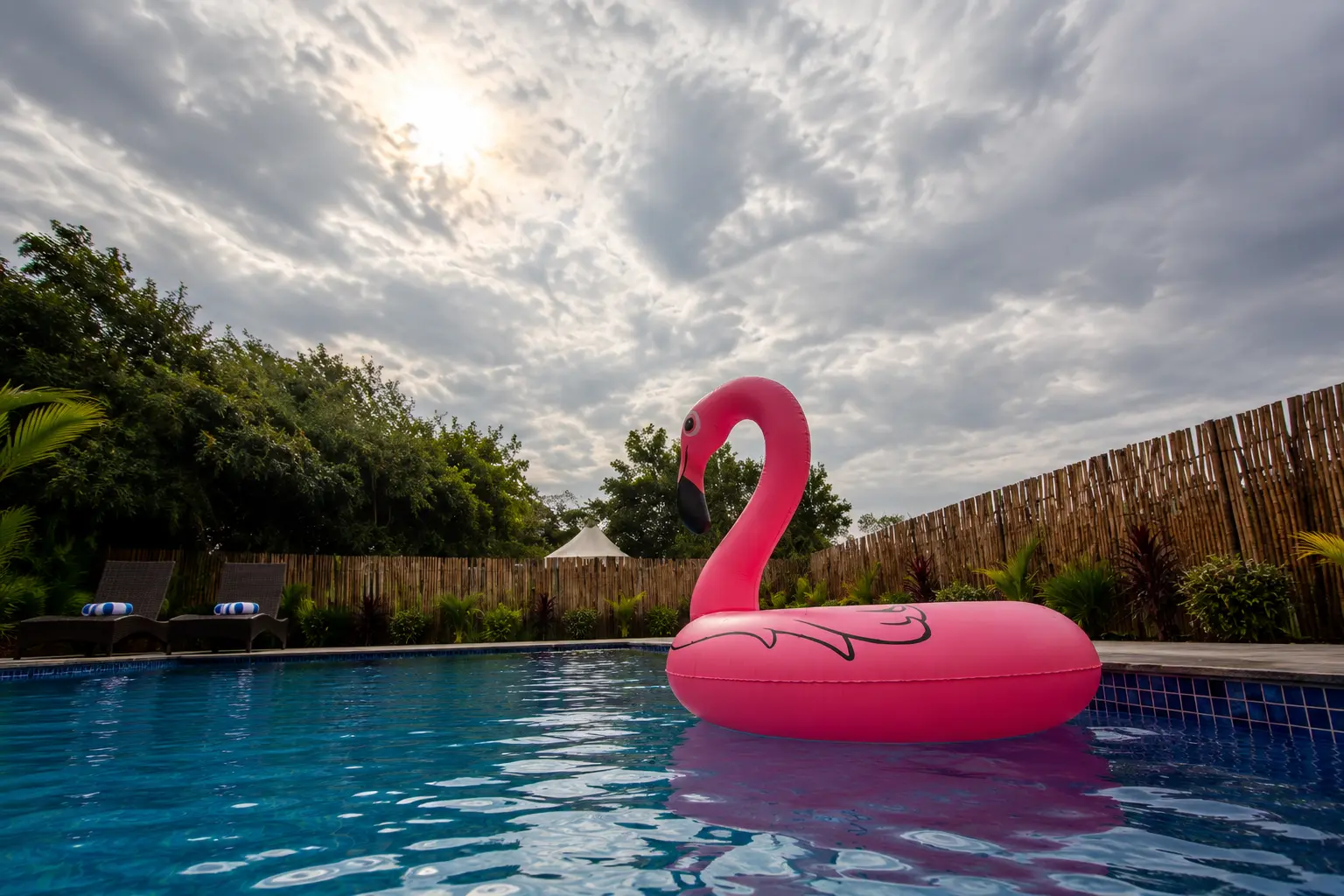 avani-tiger-resort-swimming-pool-pink-flamingo-tipeshwar.webp