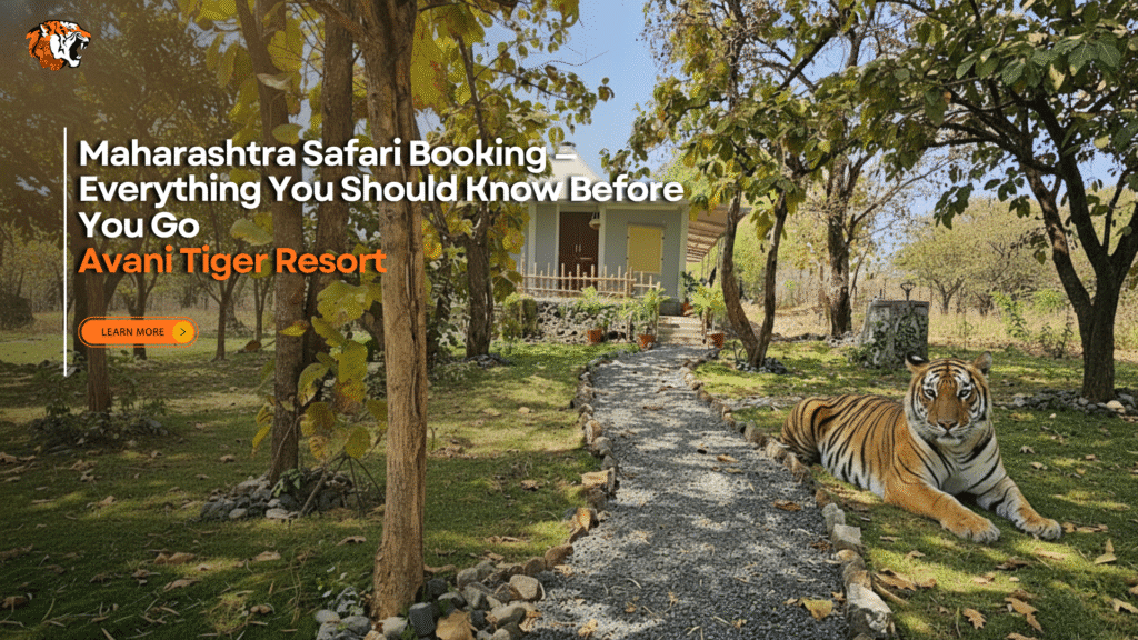 Maharashtra safari resort with tiger resting beside a forest trail