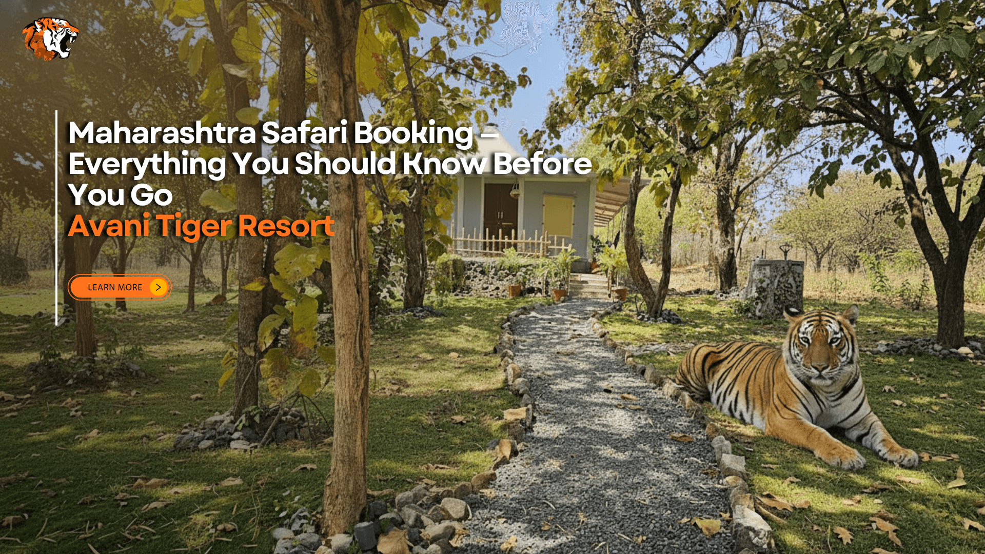 Maharashtra safari resort with tiger resting beside a forest trail