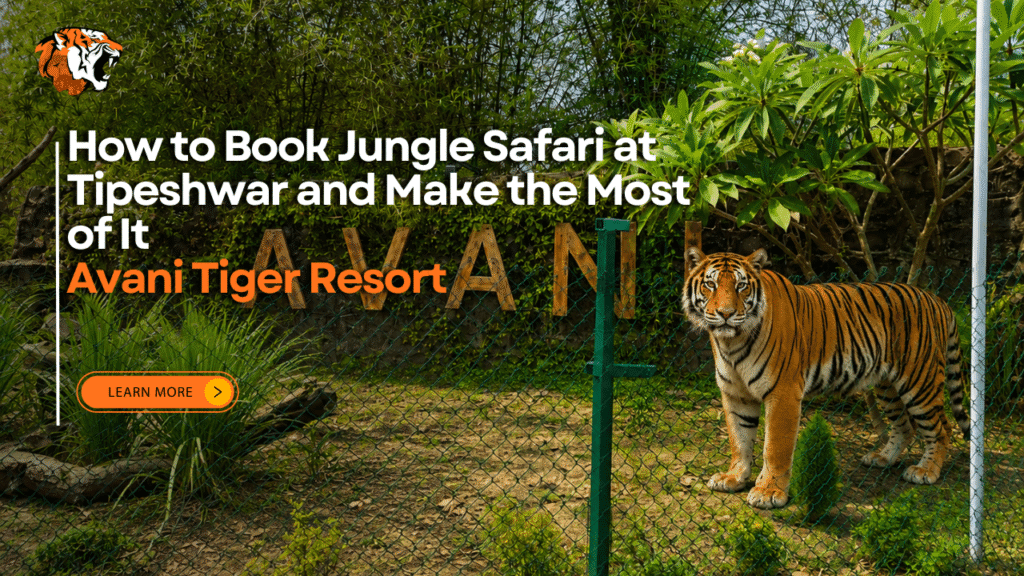 Tipeshwar jungle safari booking guide for exploring Tipeshwar Wildlife Sanctuary