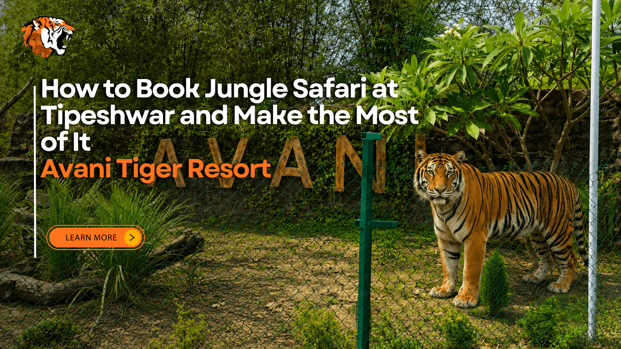 Tipeshwar jungle safari booking guide for exploring Tipeshwar Wildlife Sanctuary