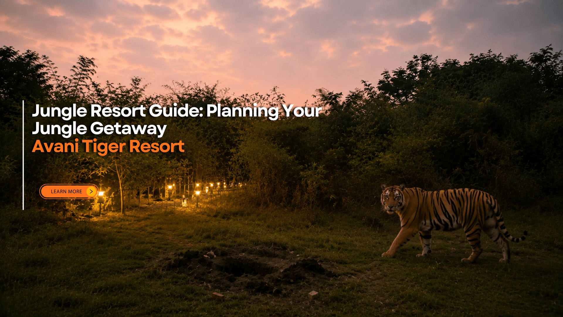 Cover image showing a tiger in a forest at sunset with text promoting safari booking at Avani Tiger Resorts.